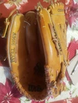 Wilson Limited Edition Team Series A9606 12.5 Lh Throw Glove Dual Stall. Fixed Price $14.95.
