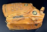 Wilson Limited Edition Team Series A9606 12.5 Lh Throw Glove Dual Stall. Fixed Price $14.99.