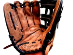 Rawlings D1275DB Lht Baseball Glove Premium Series 12.75" Hand Throw Lefty. Fixed Price $47.95.