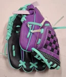 Dick's Sporting Goods Girl Youth Purple Baseball Softball T-ball Glove Left Hand. Fixed Price $14.98.