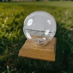 Baseball Holder Wood Trophy Game Display Case Award Box. Fixed Price $13.99.