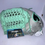 Nwt Easton Professional Collection Limited Edition Fastpitch Glove Grey 12" Lht. Fixed Price $144.77.