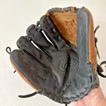 Rawlings D1200BC Premium Series Youth Baseball Pitchers Glove For Lht. Fixed Price $27.99.