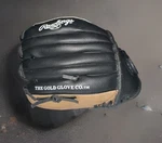 Rawlings Playmaker Pro Performance 0594 Tee Ball 10.5" Right Hand Throw Glove. Fixed Price $14.99.