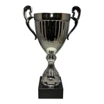 Express Medals 12" Bright Silver Metal Trophy Cup - Event, Sport Tournament. Fixed Price $70.08.