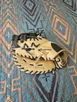 Easton Professional Series EPG38WB 12.75" First Base Mitt. Right Hand. Fixed Price $78.00.