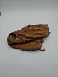 Rawlings 10 Inch Glove CS98. Fixed Price $10.00.