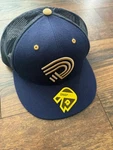 New Demarini Hat Cap Adjustable Blue Gold Snapback Trucker Bats Baseball Mens. Fixed Price $18.74.