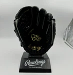 Rare Rawlings Gold Glove PRO200-3JB 11.5" Basket Web (possible Issue). Fixed Price $242.00.