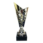 Express Medals 9" Silver & Gold Champion Tournament Trophy Award W/ Star Detail. Fixed Price $48.01.