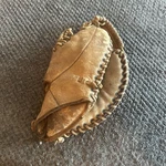 Vintage Tmc 241 Right Hand Throw Baseball Glove/ Mitt Rawhide Lace. Fixed Price $10.00.
