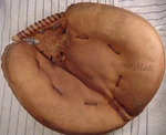 Topline Yogi Berra Personal Model Spalding 42-707 Rh Catchers Mitt Glove Yankees. Fixed Price $64.99.