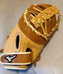 Mizuno First Mitt Franchise (gxf 90B4) 12.5 Inch. Fixed Price $253.99.