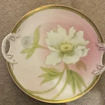 Bavaria Painted Floral Porcelain Plate Gold Trim Handles 3187. Fixed Price $16.99.