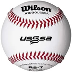 Wilson A1030 Champion Series Sst BASEBALLS-1 Dozen. Fixed Price $79.99.