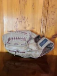 Sears ,roebuck Ted Williams Baseball Glove Model 16167 Lh. Fixed Price $20.00.