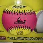 Rawlings Fastpitch Training Softball 10" Pink/optic Yellow Lot 7. Fixed Price $34.95.