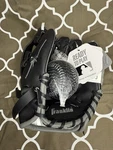 Franklin #4809 9.5" Youth Baseball-t-ball Glove Rht Ready To Play. Fixed Price $16.60.