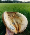 Louisville Slugger Catchers Mitt LSC210 For Right Handed Person. Fixed Price $20.99.