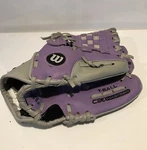 Wilson T-ball 10 Glove A0200 Cat Osterman, Rht, Purple/silver, Youth Mitt. Fixed Price $9.00.