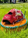 Rawlings Gold Glove Elite GGE115SG 11.5" Baseball Infielders. Fixed Price $100.00.