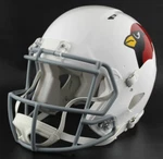 Arizona Cardinals 1960-2004 Era Riddell Gameday Authentic Football Helmet. Fixed Price $299.99.