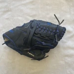 Wilson A200 10" Youth Baseball Glove Ez-catch T-ball Rht Black And Blue. Fixed Price $19.99.