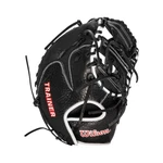 Wilson 11" Training Baseball First Mitt: WBW10091011. Fixed Price $119.95.