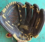 H110BRNC Rawlings Highlight 11.5" Youth Baseball Glove Rht Leather Little League. Fixed Price $22.99.