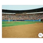 Environmental Graphics Wall Mural Play 8 X 13 Sports Baseball Decor. Fixed Price $38.00.