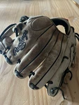 Rawlings GGE11251CB Elite Series Design 1/4 Inch Professional Glove. Fixed Price $85.00.