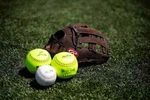 Rawlings Player Preferred Glove Series Baseball/slowpitch Softball Mult.... Fixed Price $89.95.