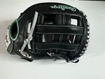 Rawlings NXT3028U-6B 12.5" Outfield Glove. Fixed Price $199.99.