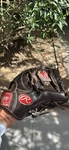 Rawlings Pro Prffered 11 1/4. Fixed Price $200.00.