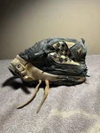 Youth Boys Mizuno 10.75 Broken In Baseball Glove Right Throw Gsps 1075. Fixed Price $75.00.