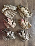 Lot Of 6 Vtg Mixed Rawlings Franklin Sears Macgregor Tmc Baseball Mitts Gloves. Fixed Price $99.99.