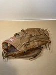 Ssk DPG-560 Dimple Steerhide Leather 12 Baseball Softball Glove Right Throw. Fixed Price $29.99.