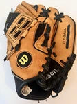 Wilson Ez Catch AO425 Z95 T-ball 10" Baseball Glove Right Hand Throw. Fixed Price $15.00.