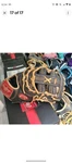 13" Rawlings Prodctdcb Heart Of The Hide Baseball First Mitt Right Hand. Fixed Price $189.99.