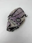 Wilson A0440 Cat Osterman T-ball 10" Glove, Rht Throw Purple/silver, Youth. Fixed Price $14.99.
