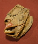 Ssk Don Sutton Catching Machine DPG-350 Rht Baseball Glove Dimple Leather. Fixed Price $23.54.