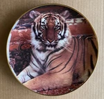 Franklin Mint Limited Edition 8" Collectors Plate "the Imperial Tiger". Fixed Price $15.00.
