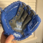 Rawlings Savage Youth Baseball Glove S10GRY Reg Inch Blue & Gray Lefty. Fixed Price $11.00.