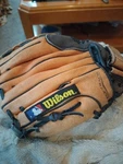 Wilson T-ball Pro Right-handed A0450 PG10 Baseball Glove 10" Dual Hinge. Fixed Price $16.95.
