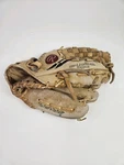 Rawlings GJF36 12 Reggie Jackson Baseball Softball Glove Right Hand Throw. Fixed Price $29.99.