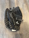 Louisville Slugger 1250 Black Dynasty Series 12.5" Lht. Fixed Price $25.00.