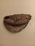 Vgt Baseball Catchers Mitt Glove Geo. Reach Co M298 Left Hand Made In Japan. Fixed Price $11.89.