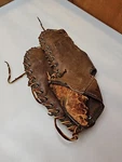 Vintage Wilson "trapper" A2692 Leather Catchers Mitt Glove Made Usa. Fixed Price $59.95.