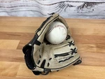 Easto Baseball Glove Z-flex ZFX900 Soft Leather Youth Castillo. Fixed Price $19.50.