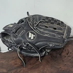 Worth Storm Youth Series: FPX115P Fastpitch Rht. Fixed Price $17.99.
